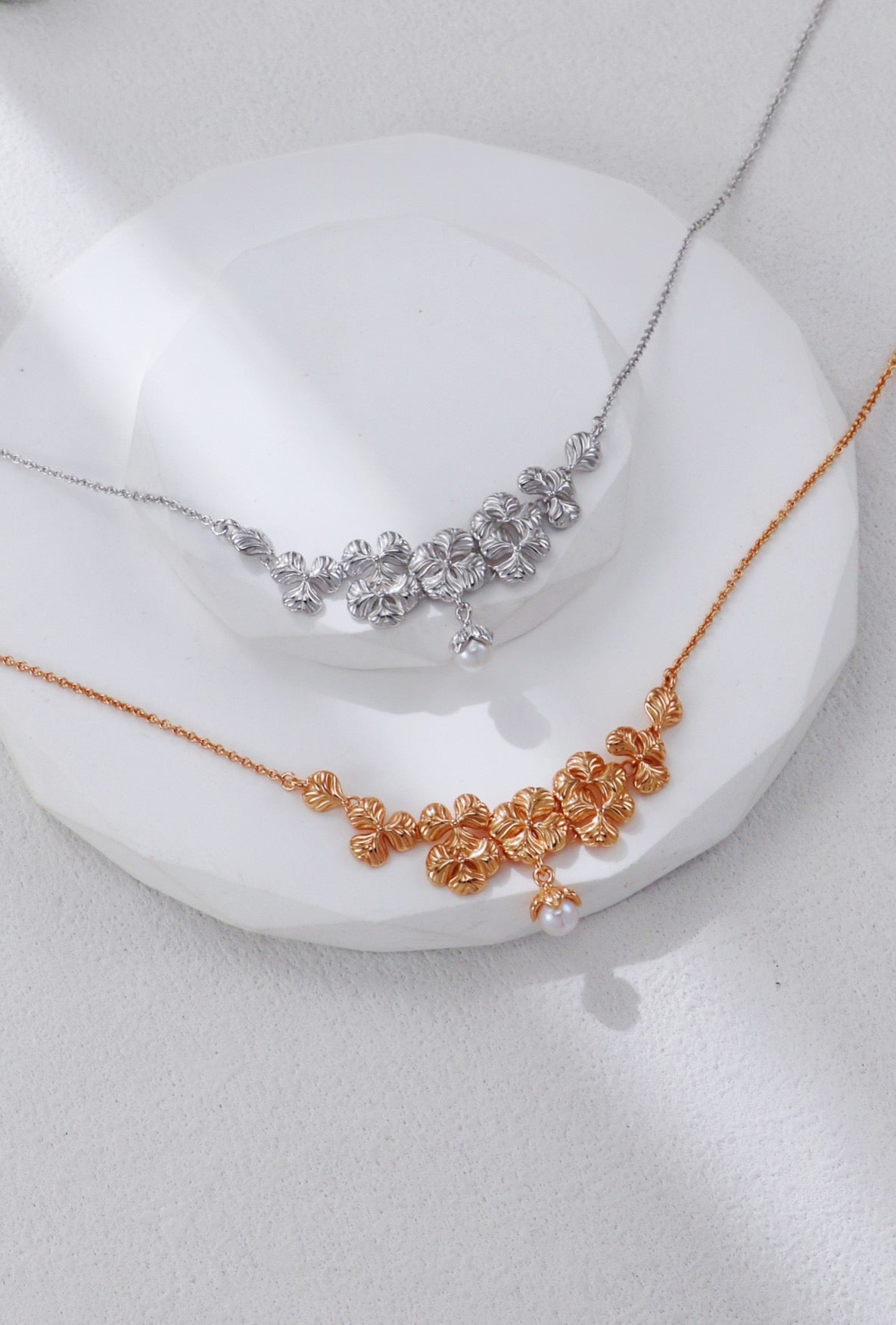 Two necklaces, one silver and one gold, on a white surface.